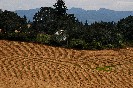 Farmland in the Foothills